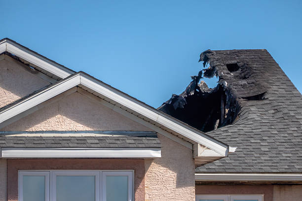 Top rated local Structural Rebuild specialists in Seminole, FL